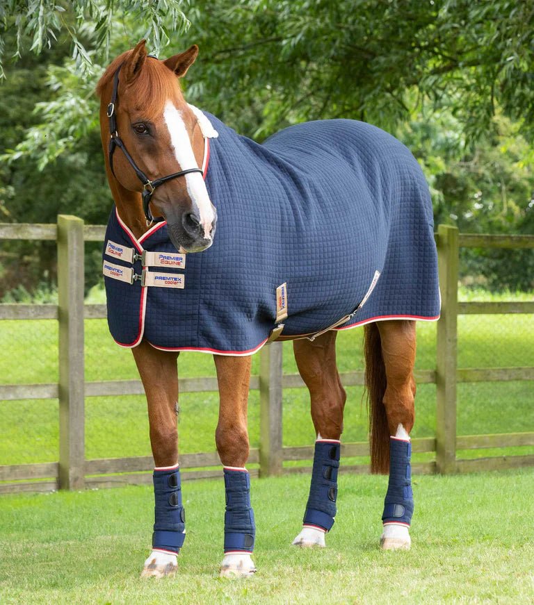 Premier Equine PremTex Horse Cooler Rug - Nags Essentials