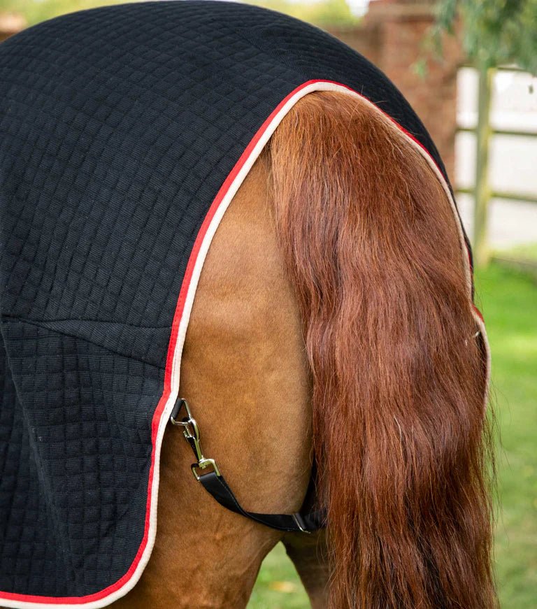 Premier Equine PremTex Horse Cooler Rug - Nags Essentials