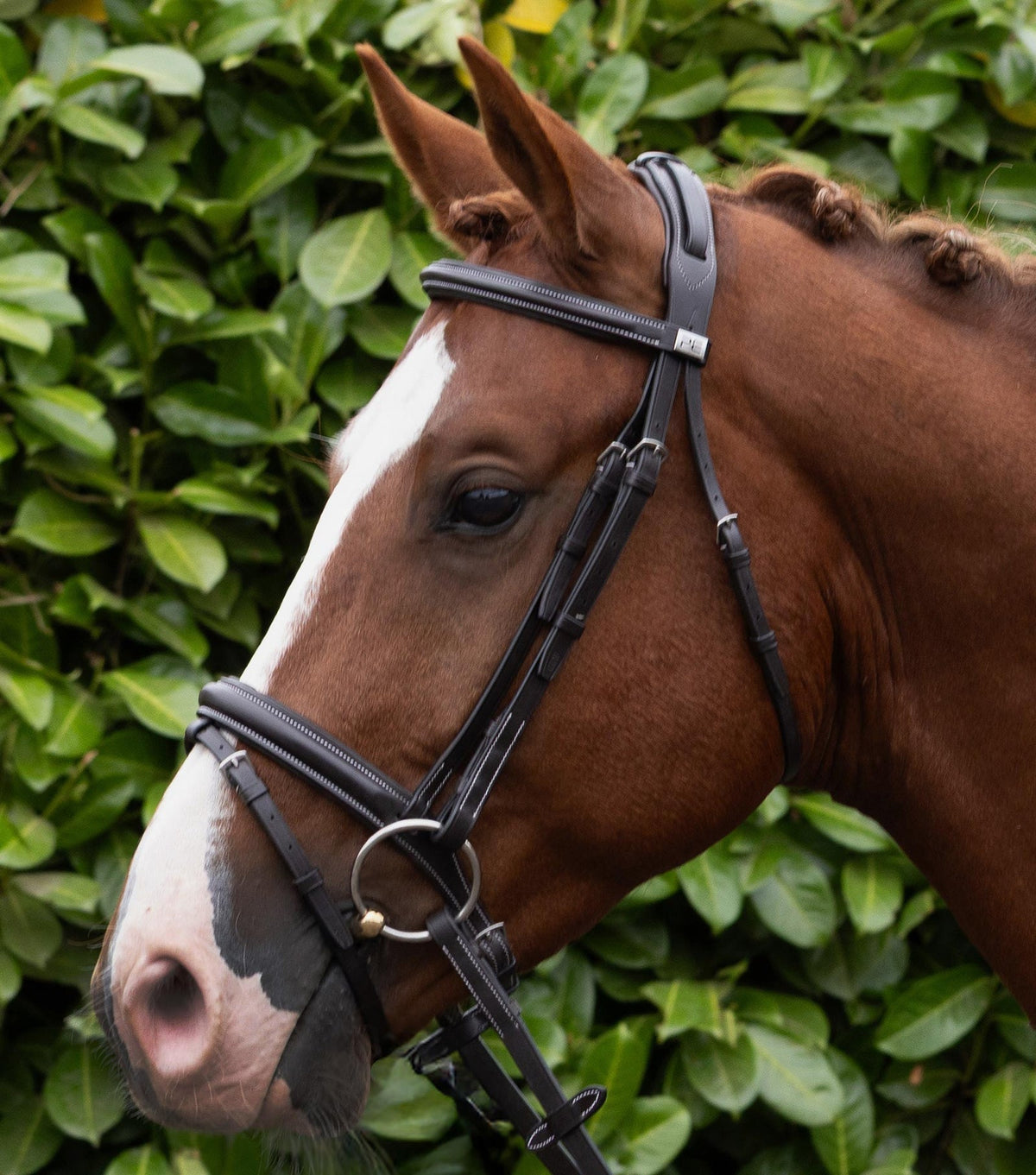 Premier Equine Pro Elevator Bridle - Nags Essentials
