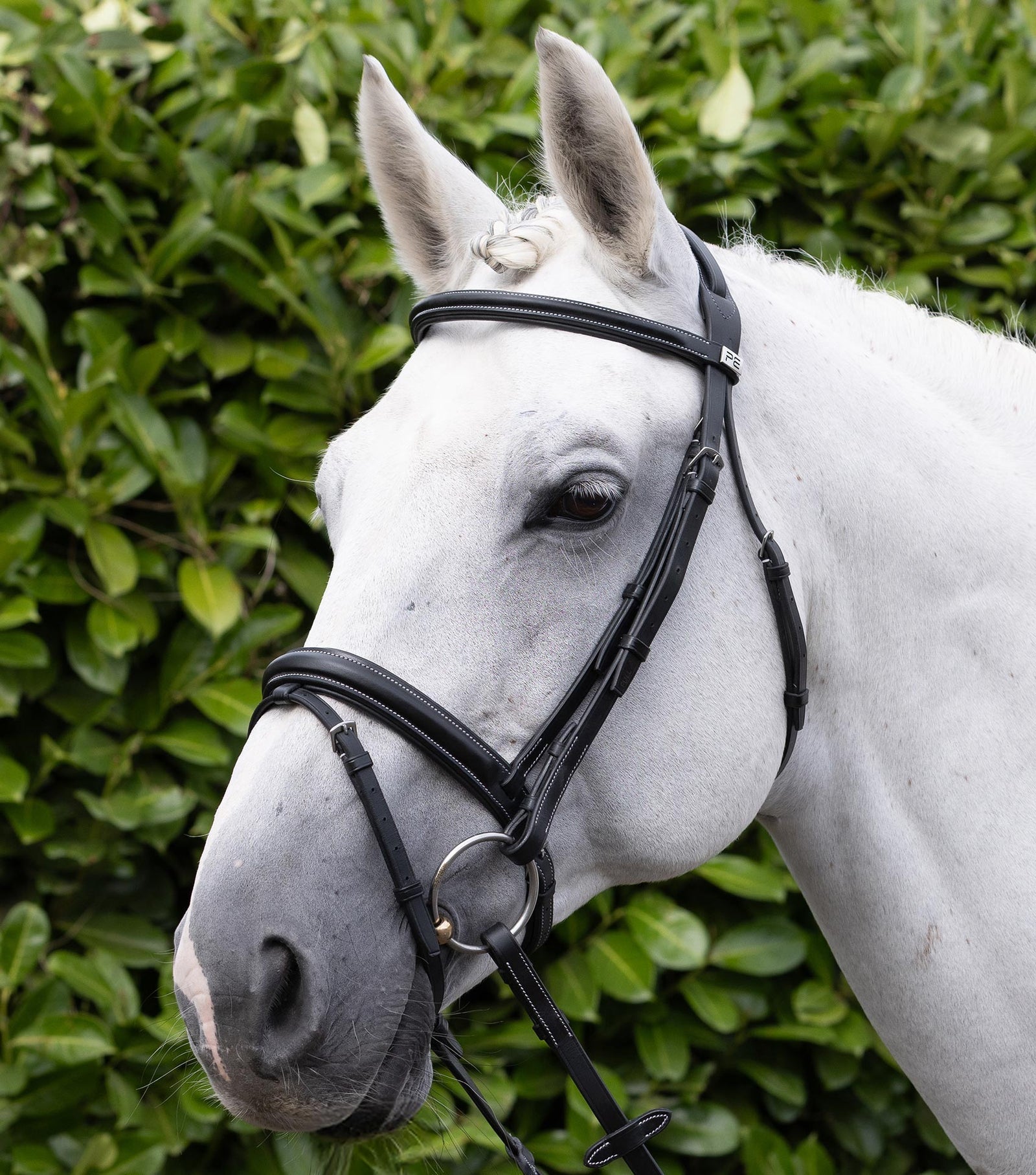 Premier Equine Pro Elevator Bridle - Nags Essentials
