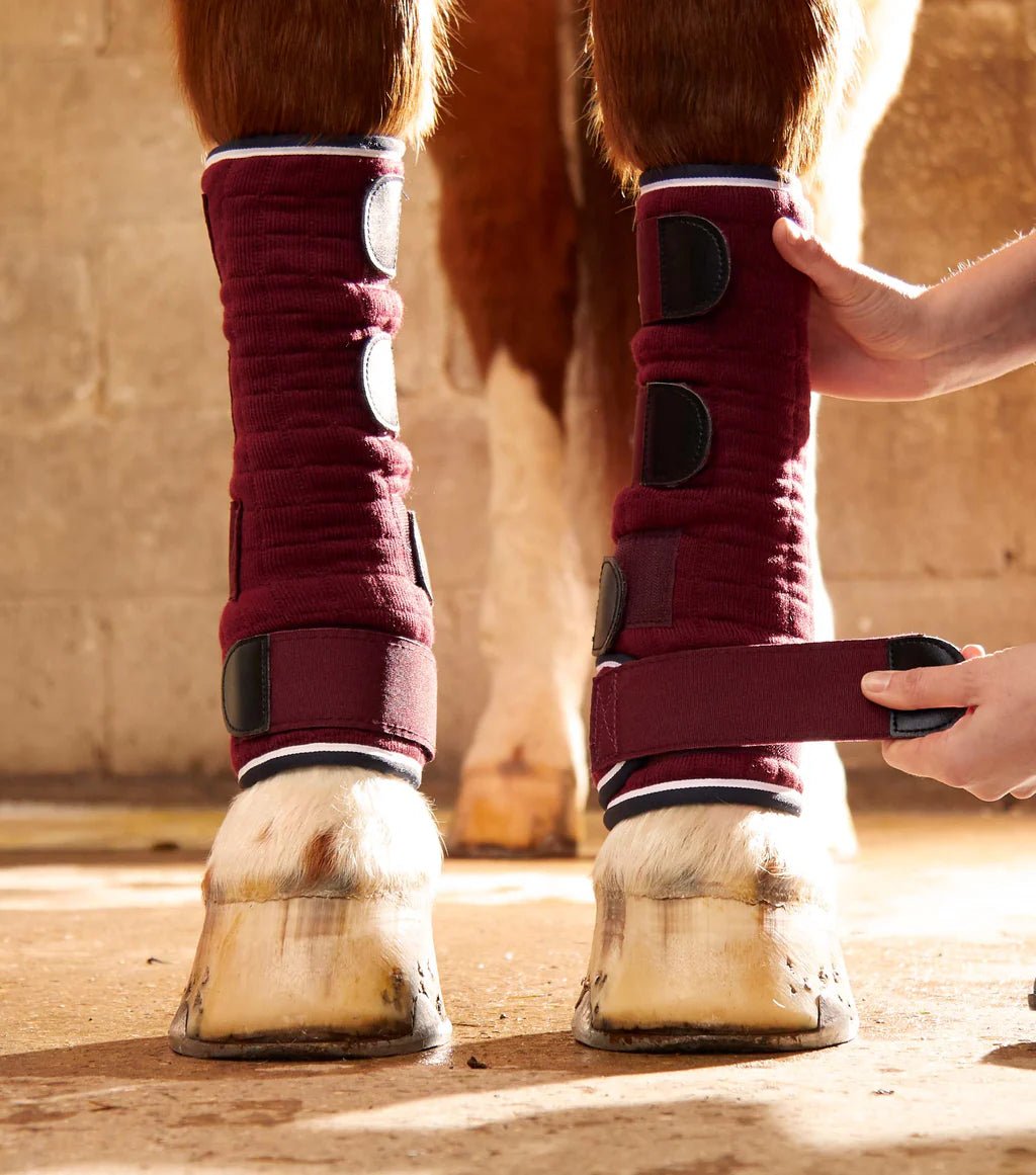 Premier Equine Quick Dry Leg Wraps - Nags Essentials
