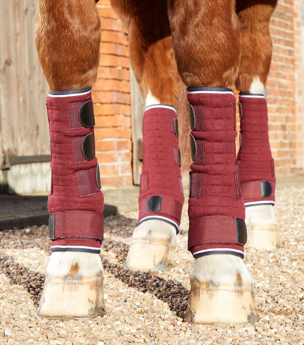 Premier Equine Quick Dry Leg Wraps - Nags Essentials