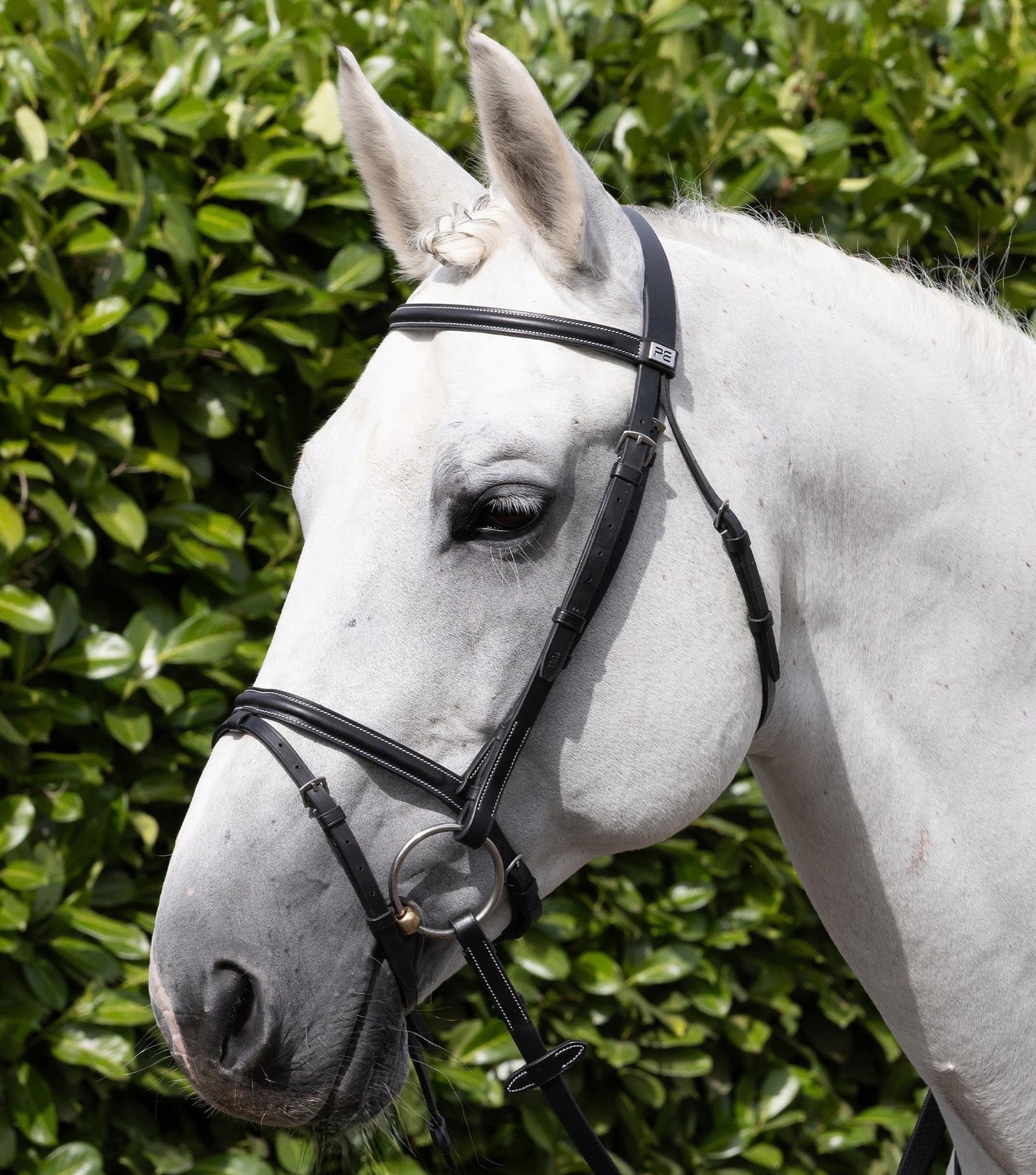 Premier Equine Raised Jumping Bridle with Flash Noseband - Nags Essentials