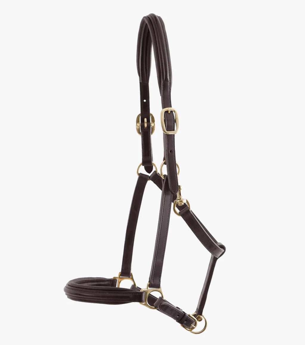 Premier Equine Rego Padded Leather Head Collar - Nags Essentials