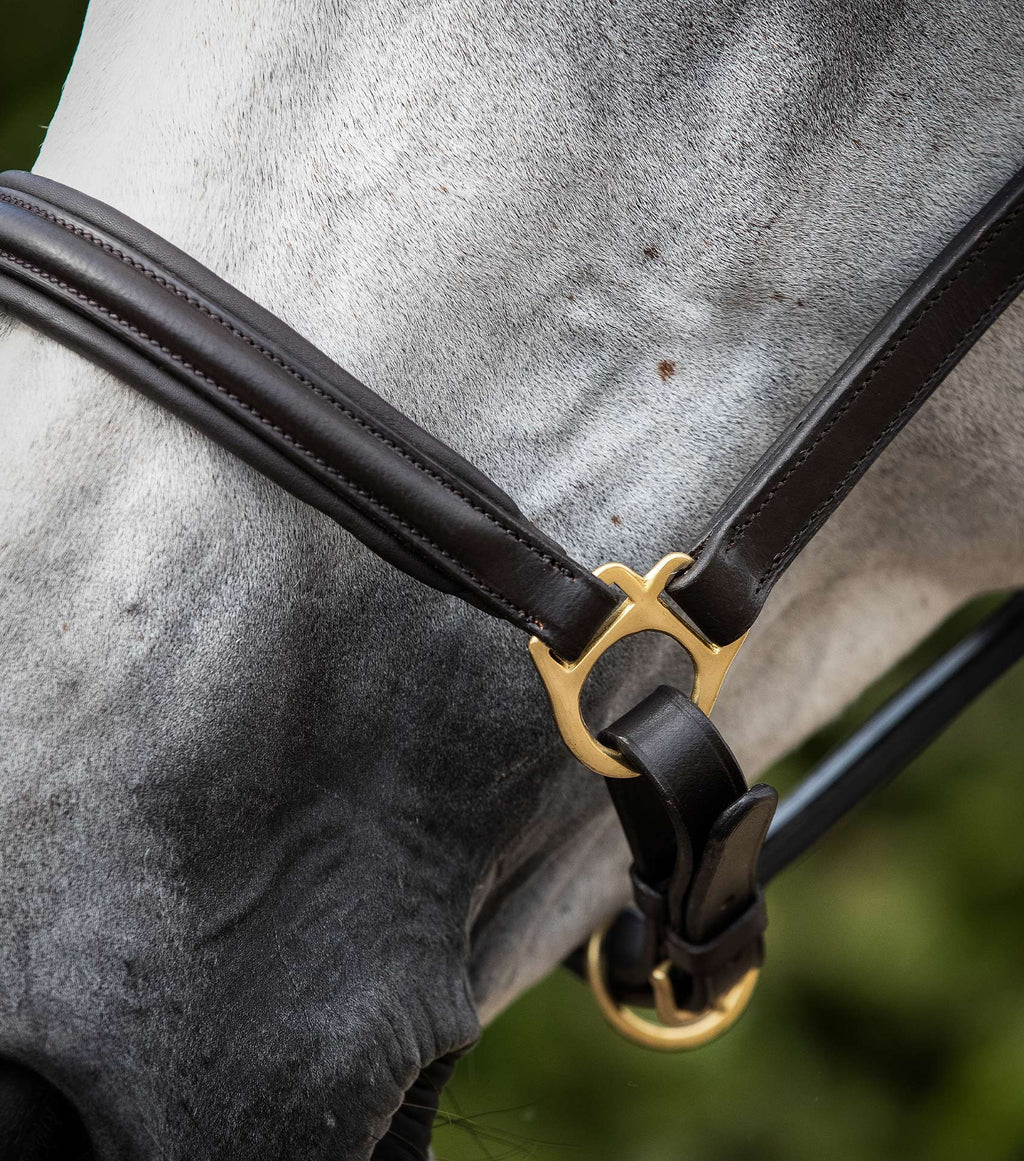 Premier Equine Rego Padded Leather Head Collar - Nags Essentials