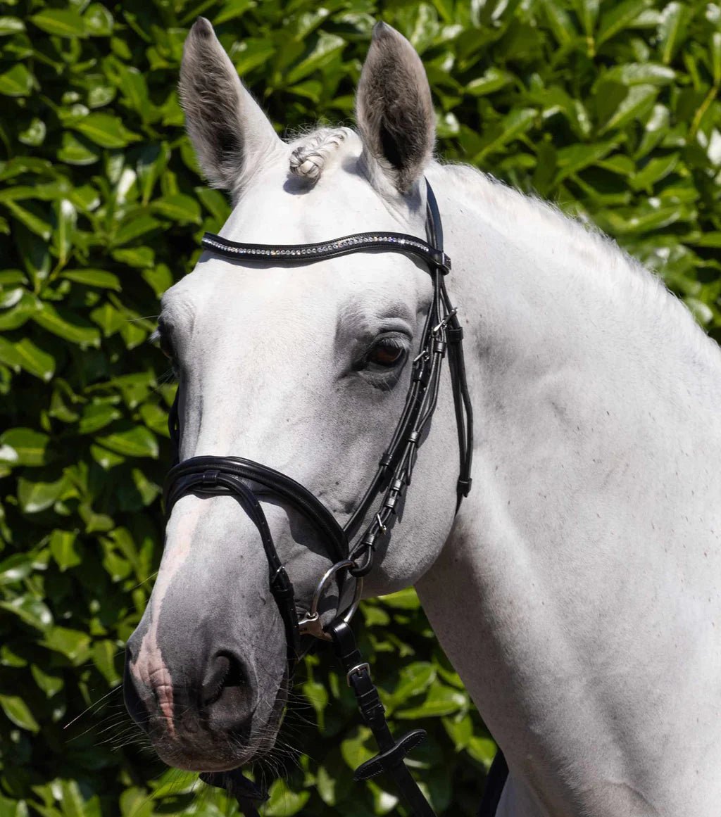 Premier Equine Rivere Snaffle Bridle - Nags Essentials