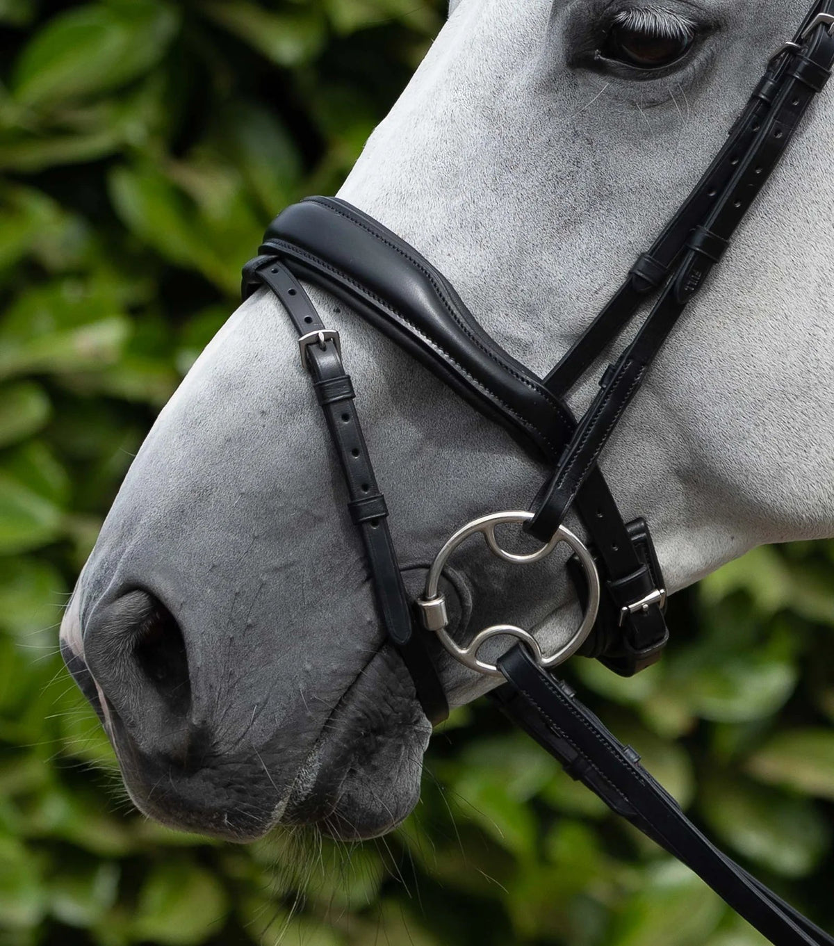 Premier Equine Rizzo Anatomic Flash Noseband - Nags Essentials