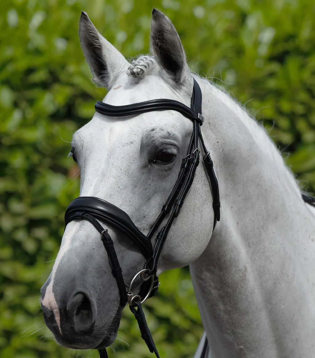 Premier Equine Rizzo Anatomic Snaffle Bridle with Flash - Nags Essentials