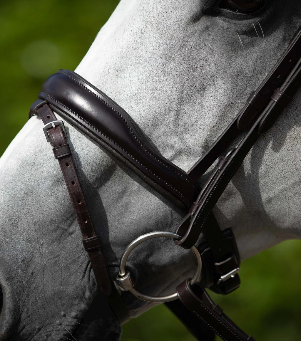 Premier Equine Rizzo Anatomic Snaffle Bridle with Flash - Nags Essentials