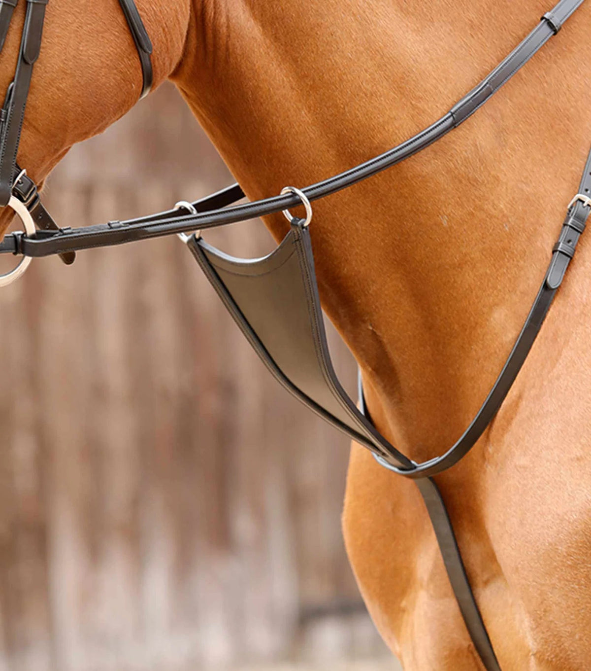 Premier Equine Rosello Bib Martingale - Nags Essentials