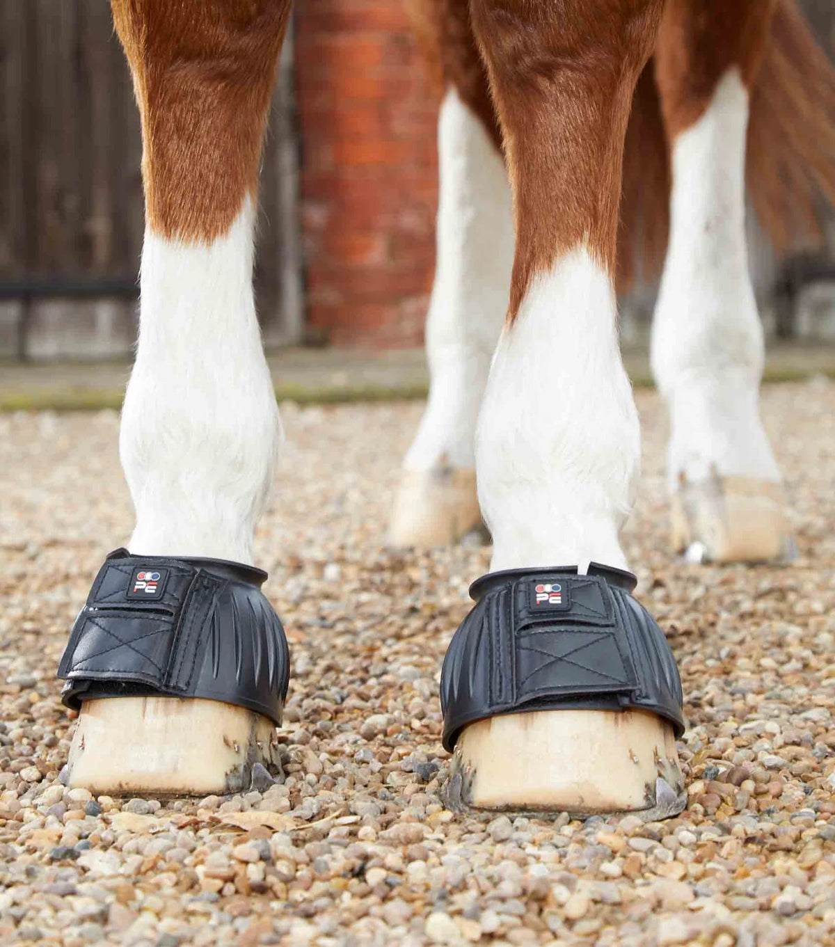 Premier Equine Rubber Bell Over Reach Boots - Black - Nags Essentials