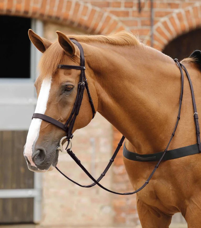 Premier Equine Salvatore Rubber & Leather Grip Reins - Nags Essentials