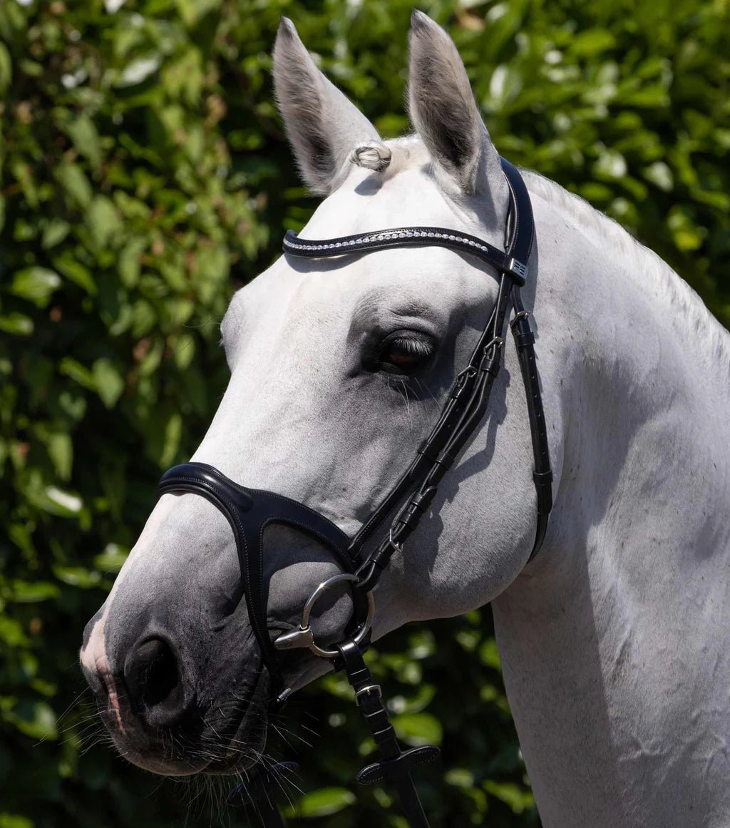 Premier Equine San Paolo Anatomical Bridle - Nags Essentials