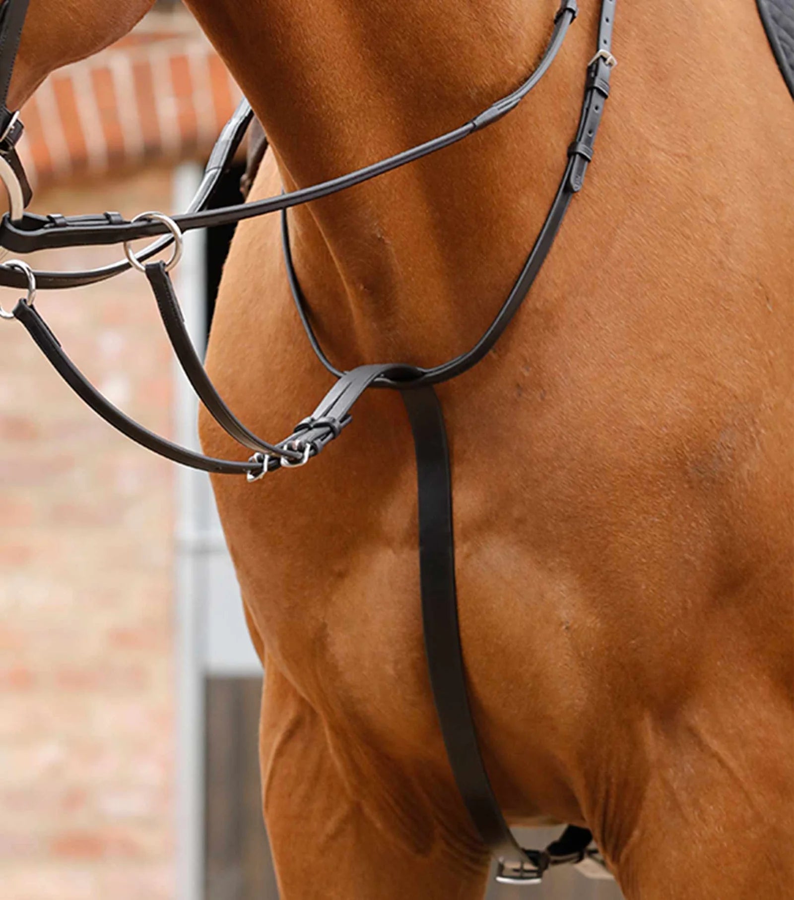 Premier Equine Santadi Adjustable Running Martingale - Nags Essentials