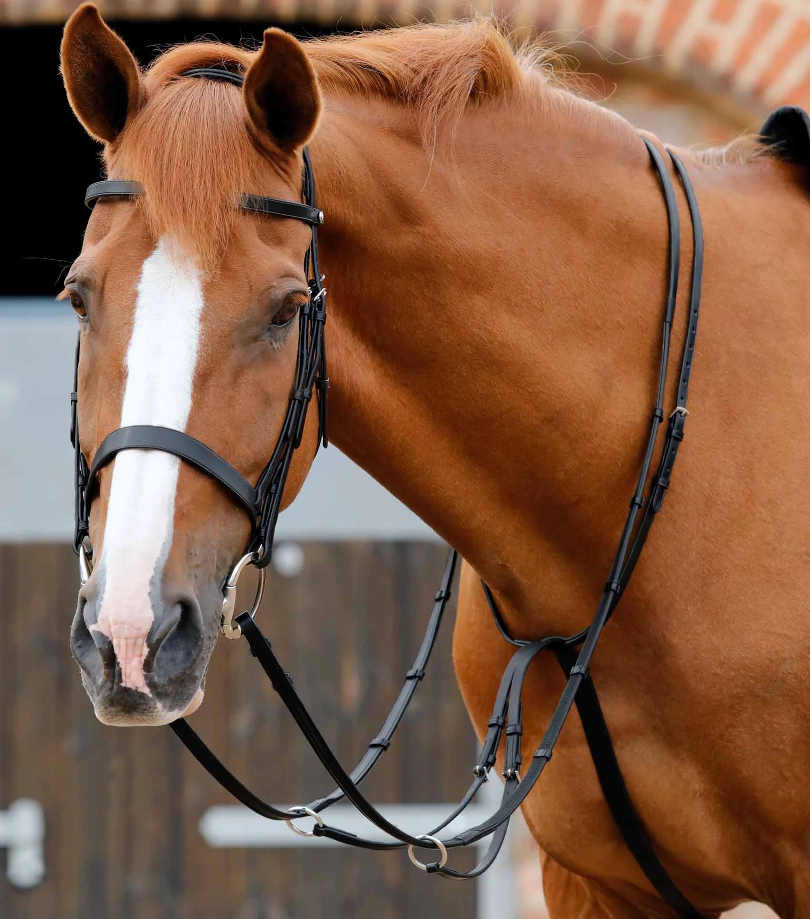 Premier Equine Santadi Adjustable Running Martingale - Nags Essentials