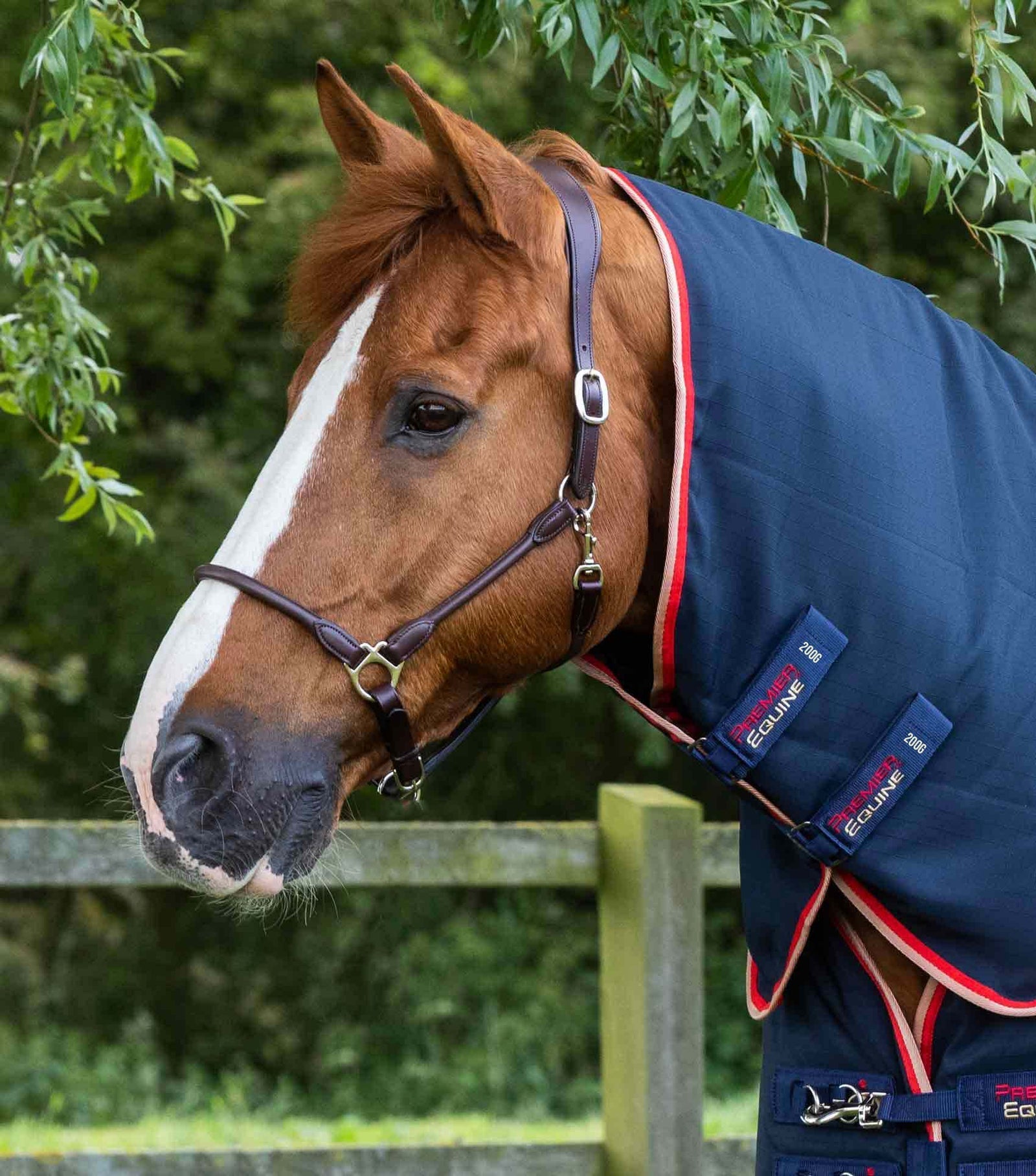 Premier Equine Stable Buster 200g Stable Rug with Neck Cover - Nags Essentials