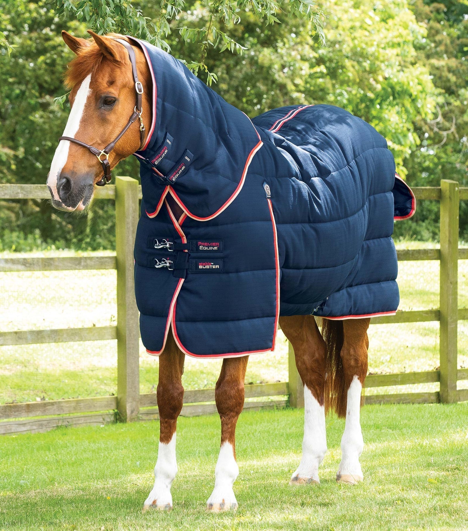 Premier Equine Stable Buster 200g Stable Rug with Neck Cover - Nags Essentials