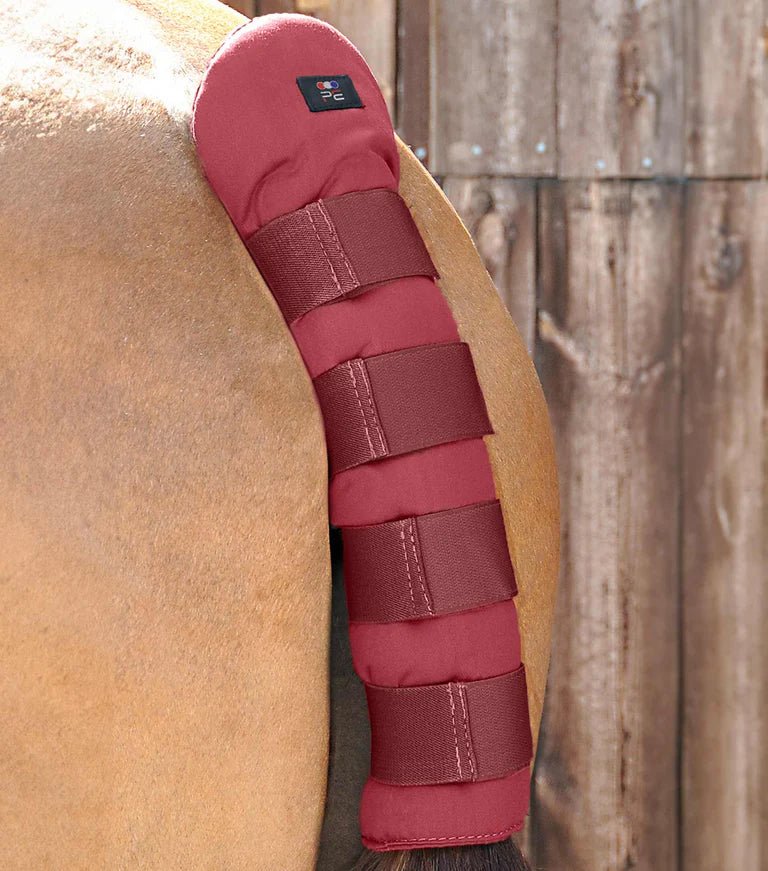 Premier Equine Stay-Up Horse Tail Guard - Nags Essentials