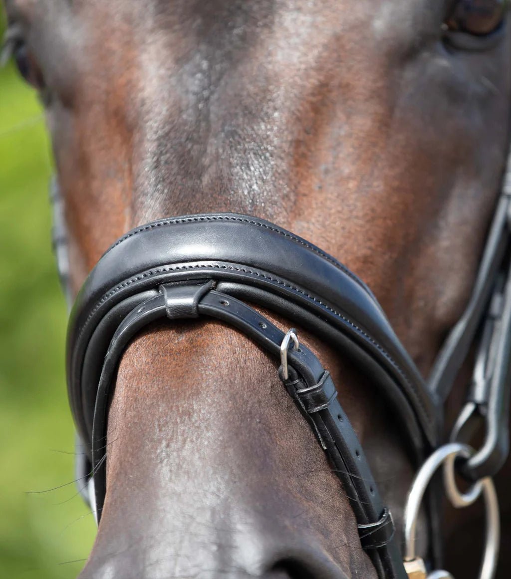 Premier Equine Stellazio Anatomic Snaffle Bridle with Flash - Nags Essentials