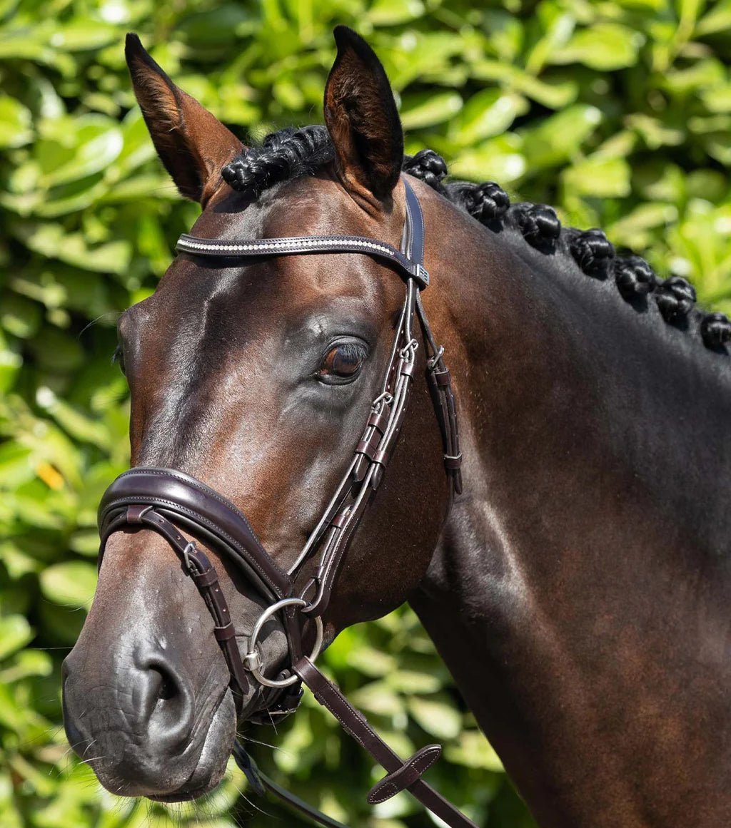 Premier Equine Stellazio Anatomic Snaffle Bridle with Flash - Nags Essentials