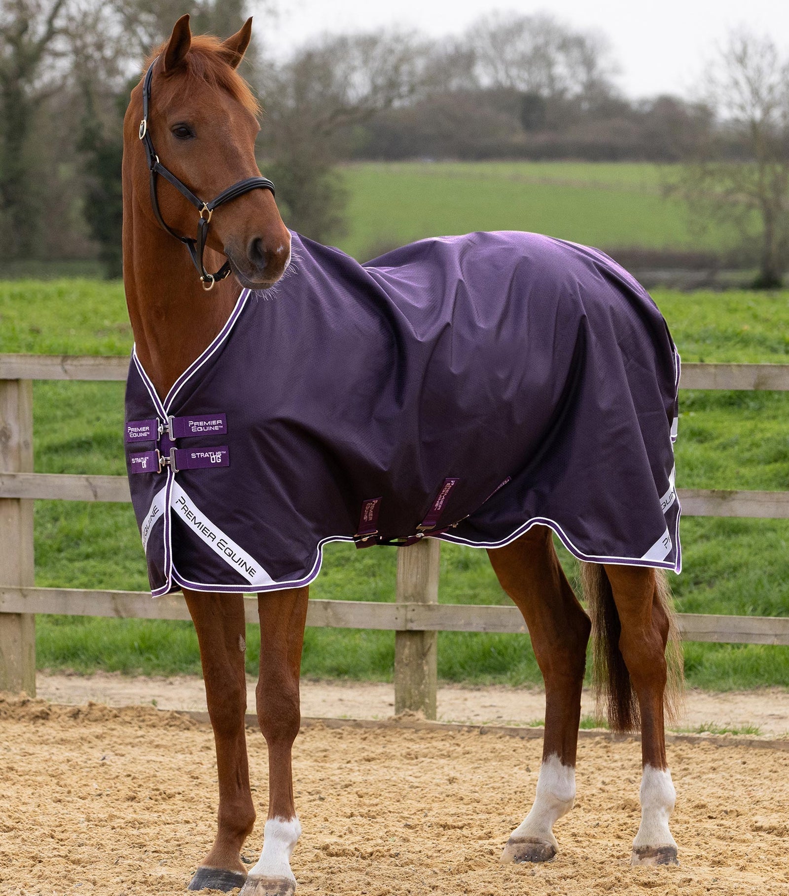 Premier Equine Stratus 600D Series 0g Original Turnout Rug - Nags Essentials