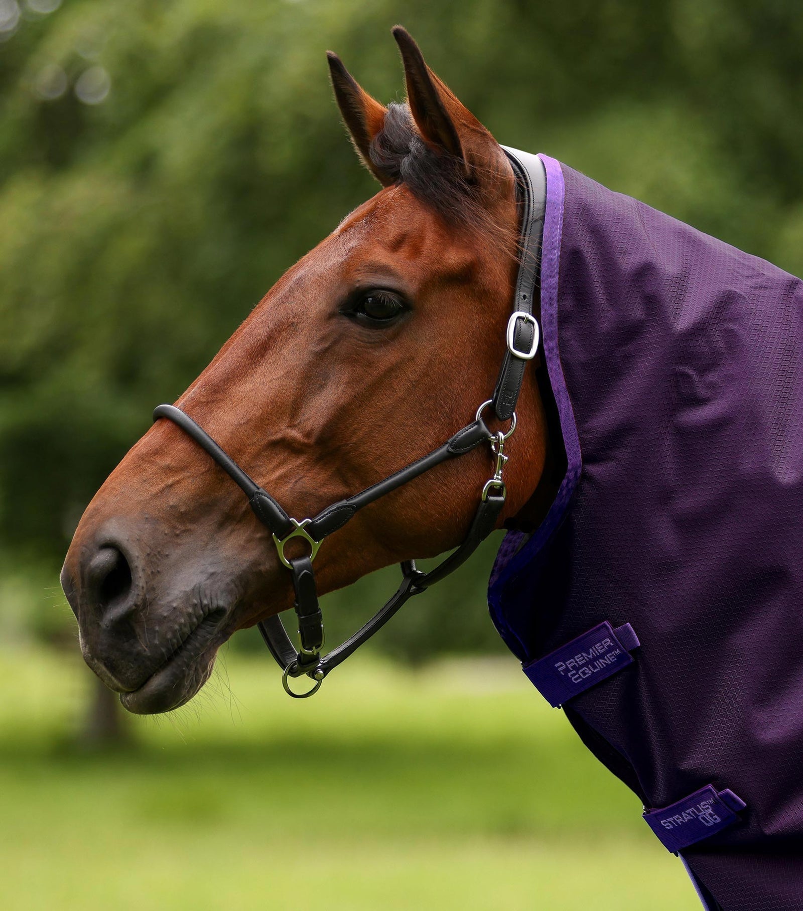 Premier Equine Stratus 600D Series 0g Turnout Rug with Classic Neck Cover - Nags Essentials