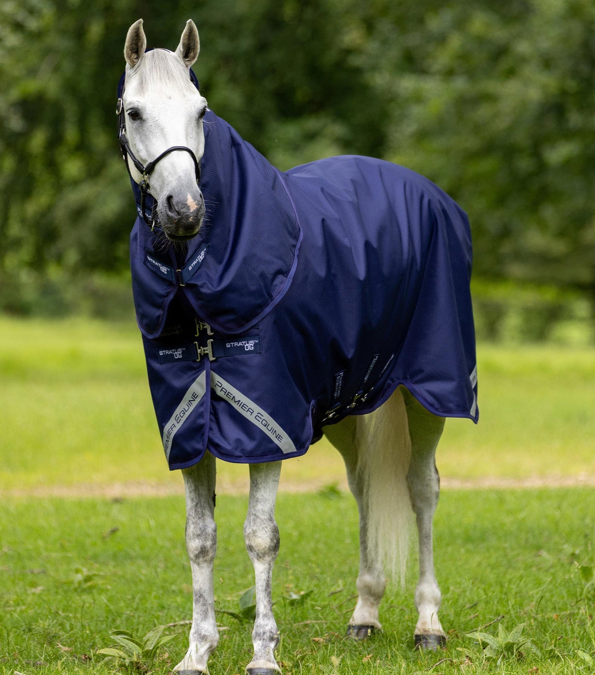 Premier Equine Stratus 600D Series 0g Turnout Rug with Classic Neck Cover - Nags Essentials