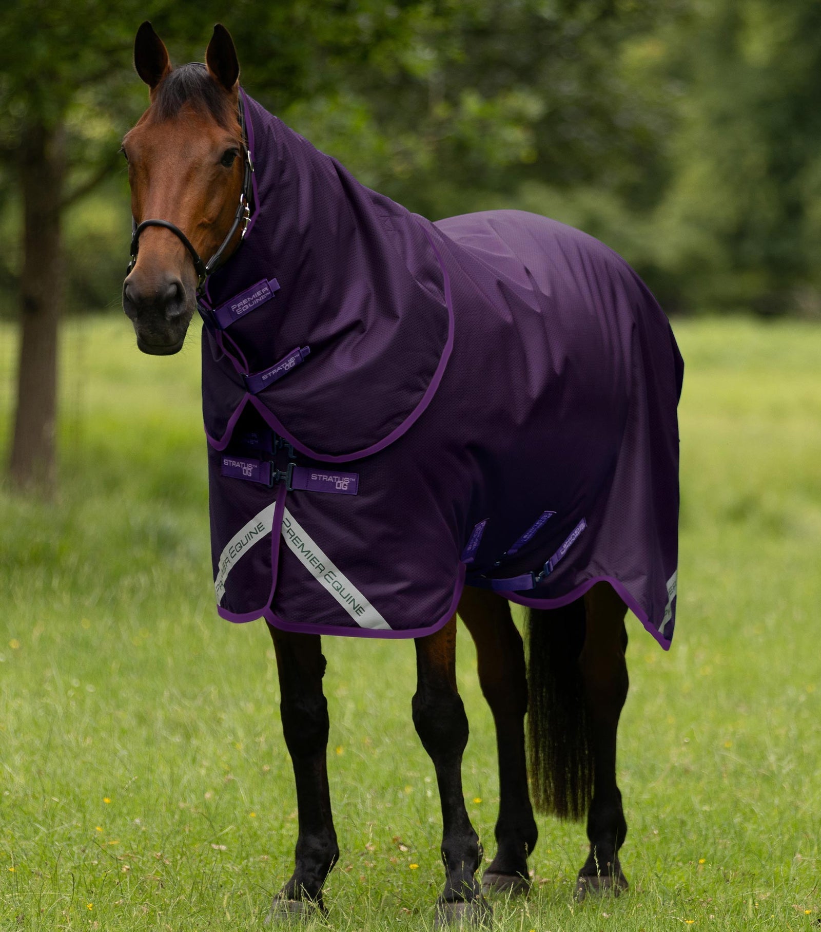 Premier Equine Stratus 600D Series 0g Turnout Rug with Classic Neck Cover - Nags Essentials