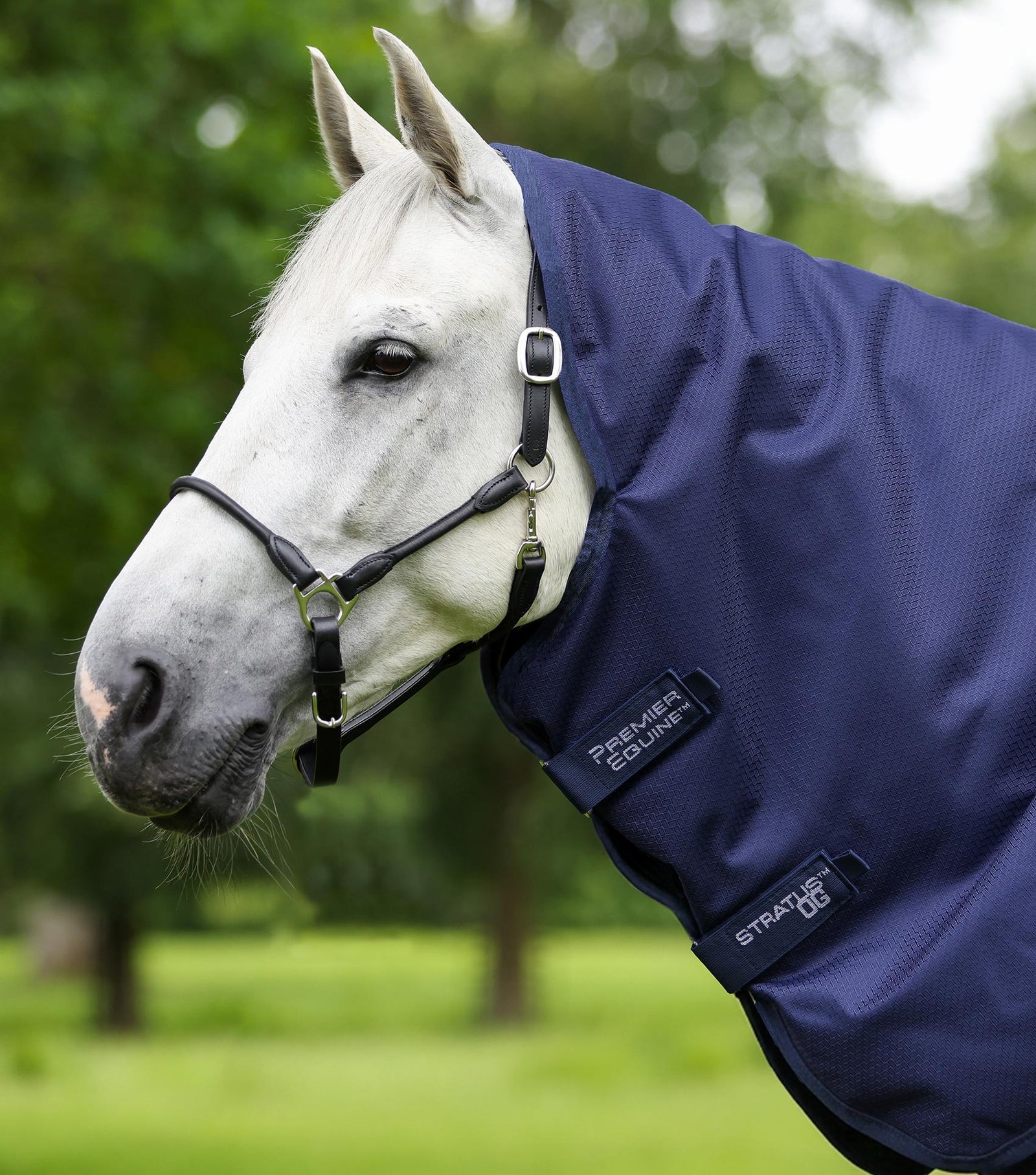 Premier Equine Stratus 600D Series 0g Turnout Rug with Classic Neck Cover - Nags Essentials