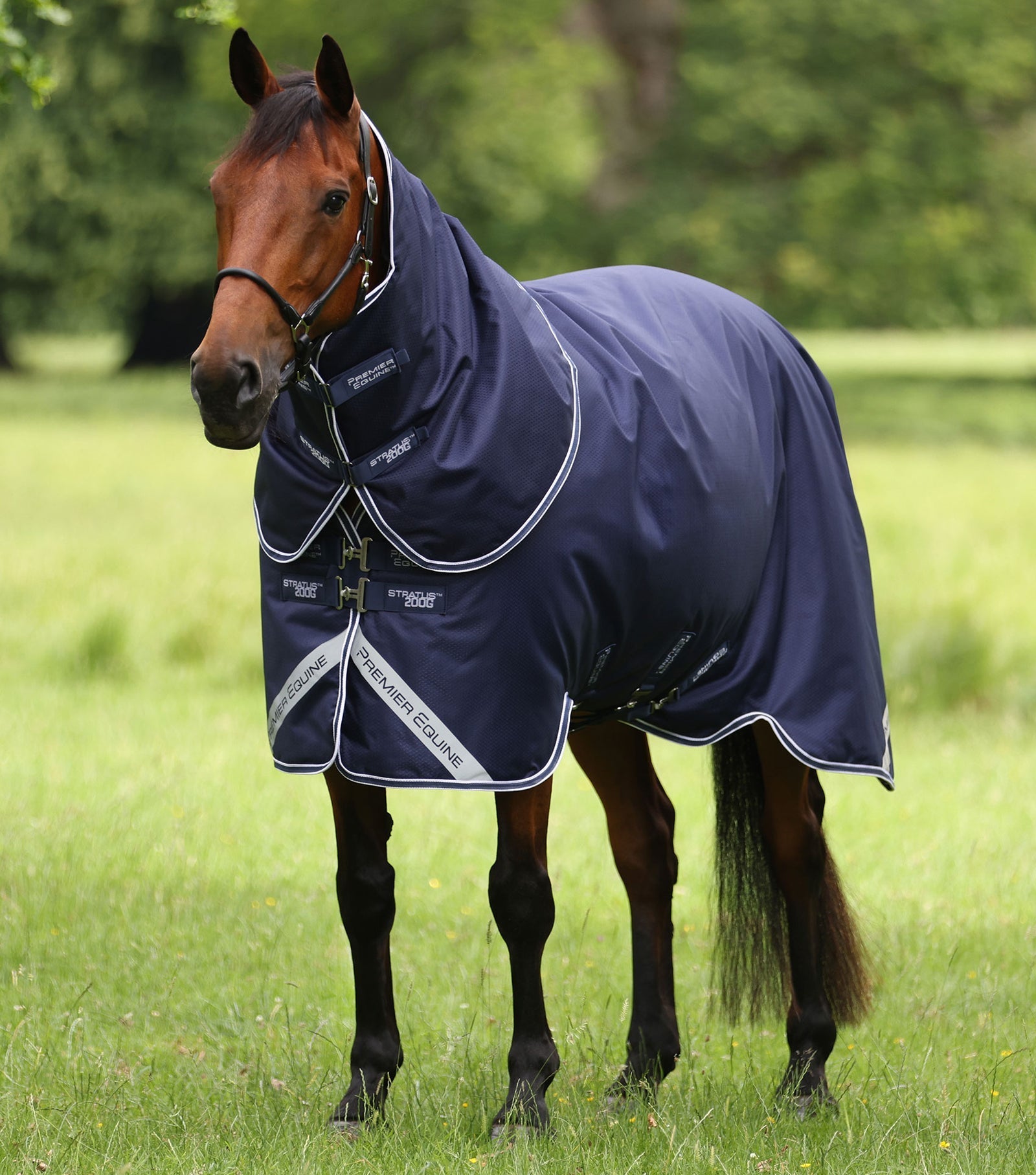 Premier Equine Stratus 600D Series 200g Turnout Rug with Classic Neck Cover - Nags Essentials