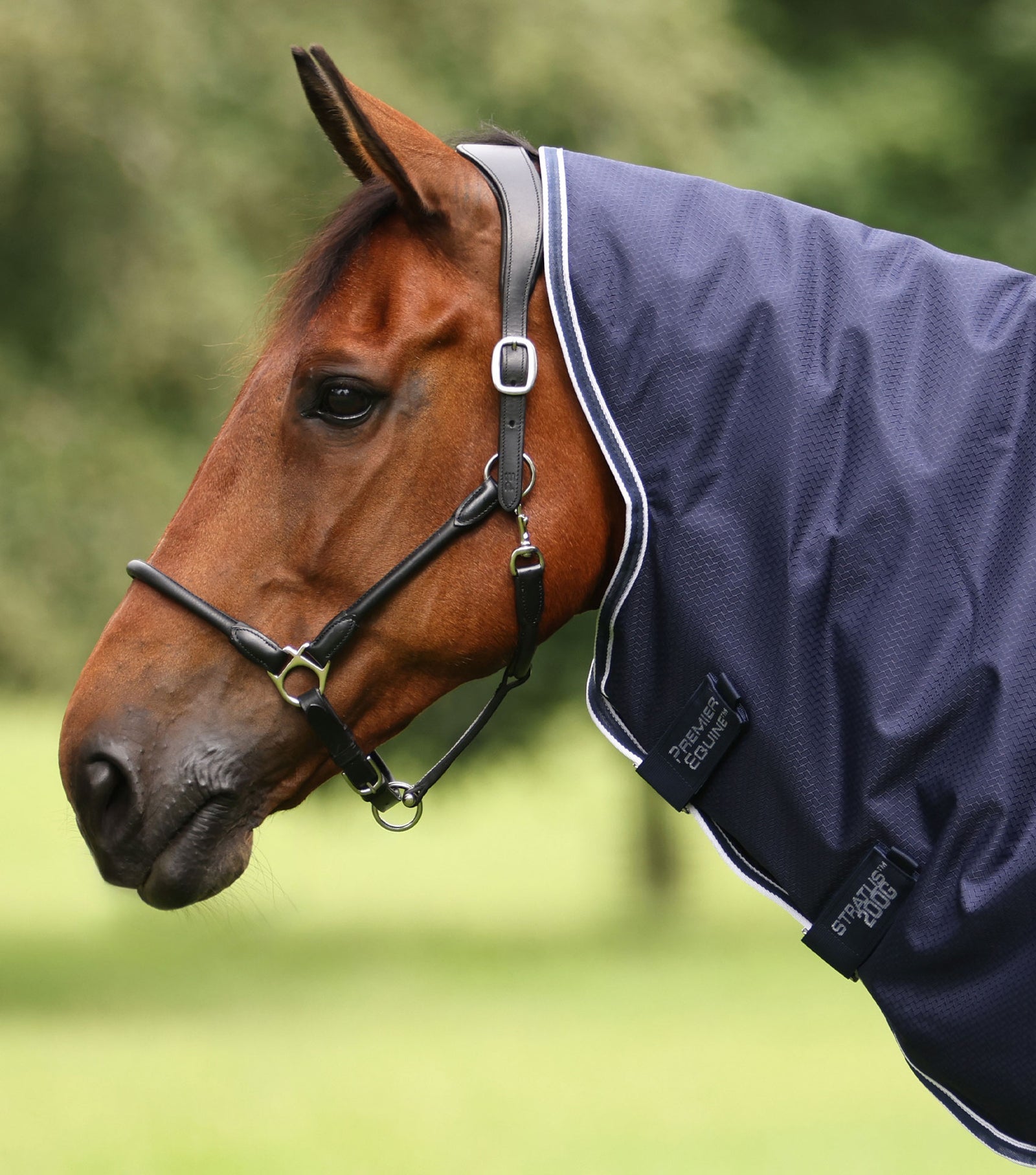 Premier Equine Stratus 600D Series 200g Turnout Rug with Classic Neck Cover - Nags Essentials