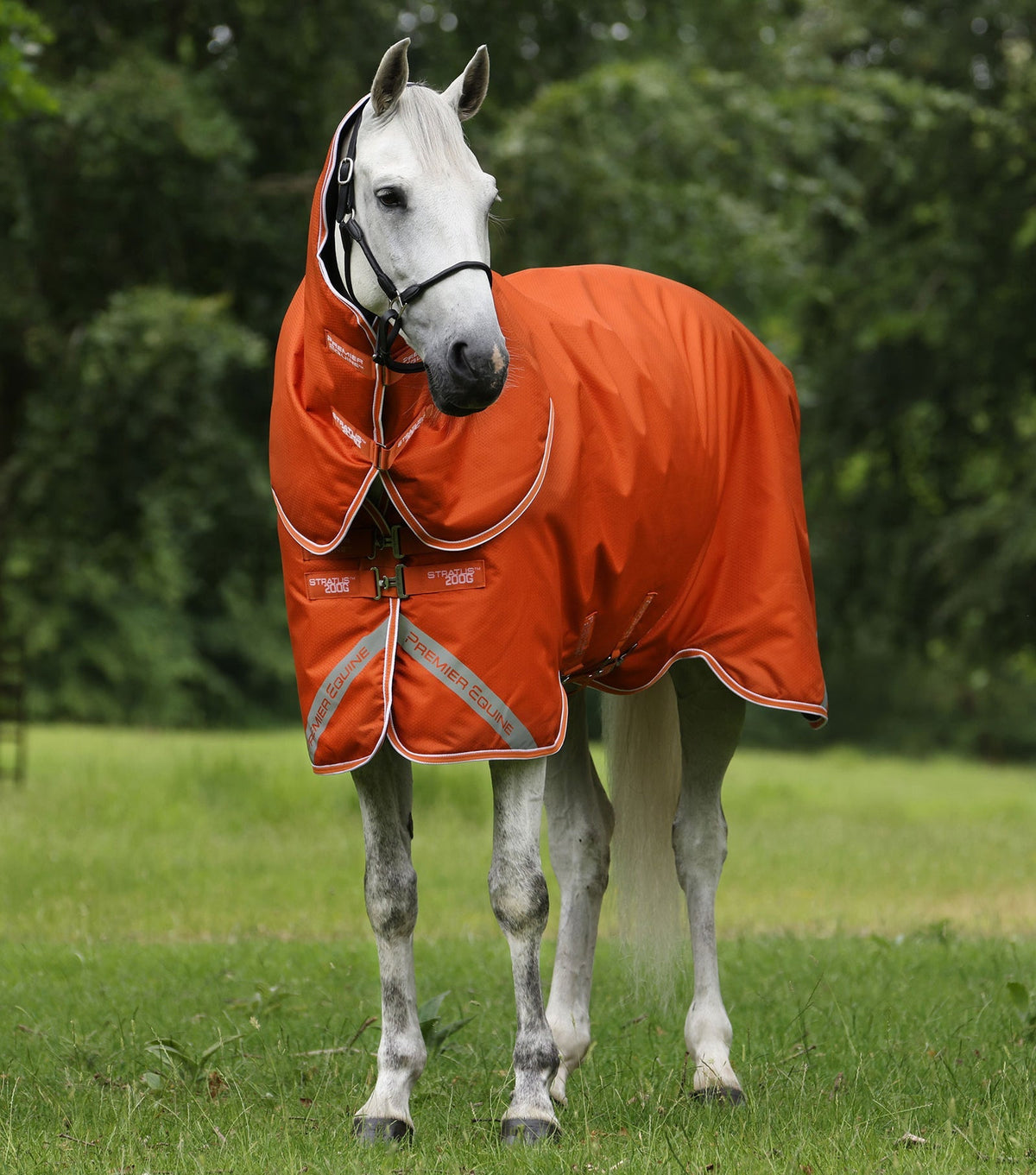Premier Equine Stratus 600D Series 200g Turnout Rug with Classic Neck Cover - Nags Essentials