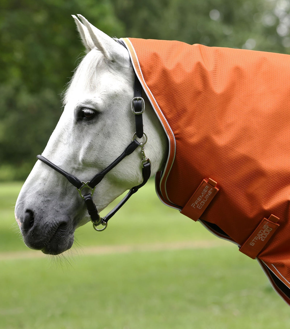 Premier Equine Stratus 600D Series 200g Turnout Rug with Classic Neck Cover - Nags Essentials