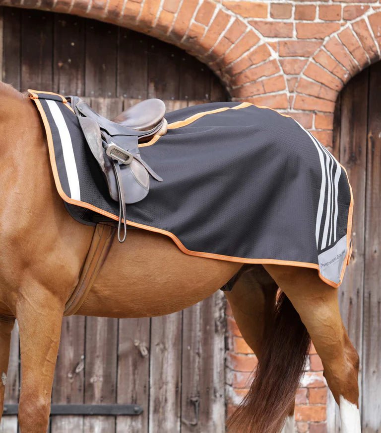 Premier Equine Stratus Horse Exercise Sheet - Nags Essentials