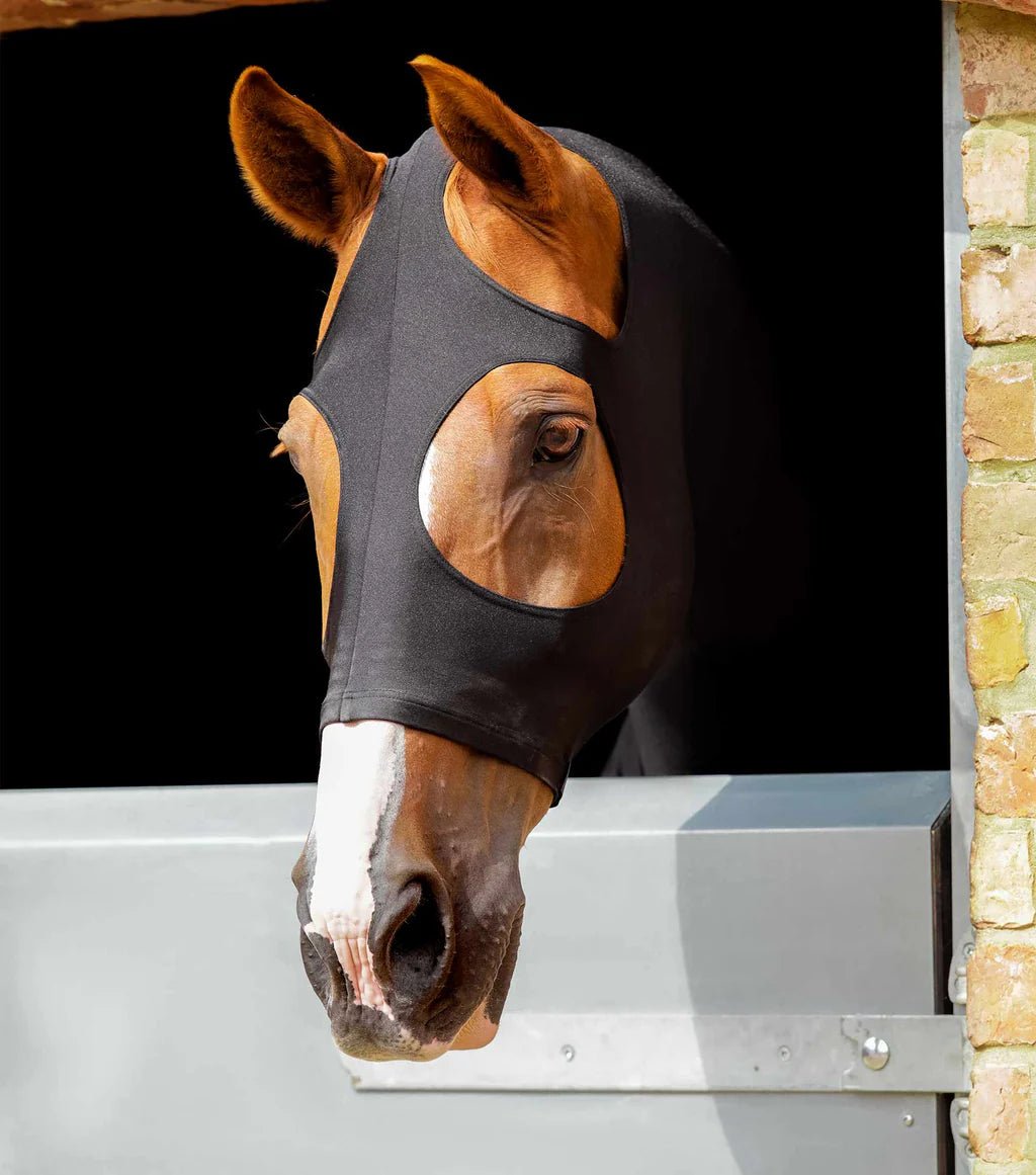 Premier Equine Stretch Lycra Hood - Black - Nags Essentials