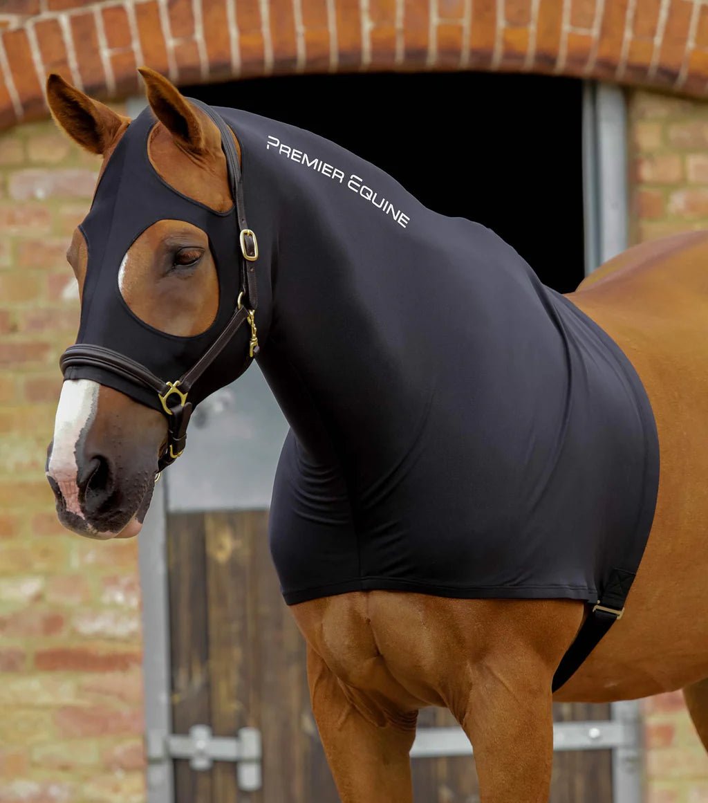 Premier Equine Stretch Lycra Hood - Black - Nags Essentials