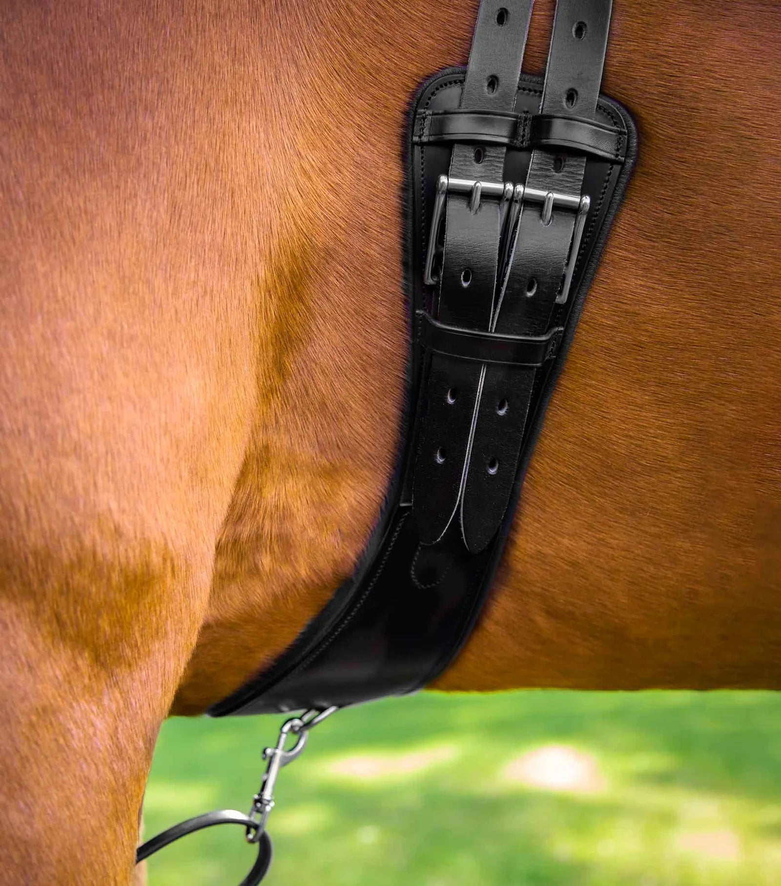 Premier Equine Tamarro Anatomic Leather Girth - Nags Essentials