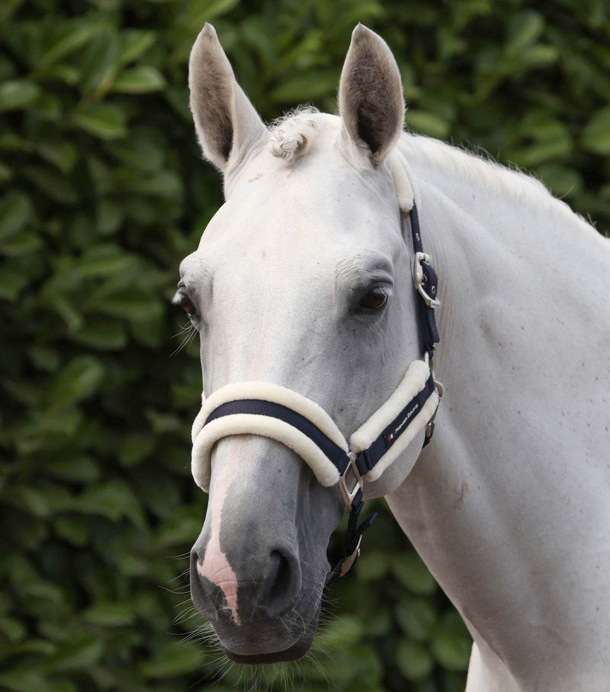 Premier Equine Techno Wool Head Collar with Lead Rope - Nags Essentials