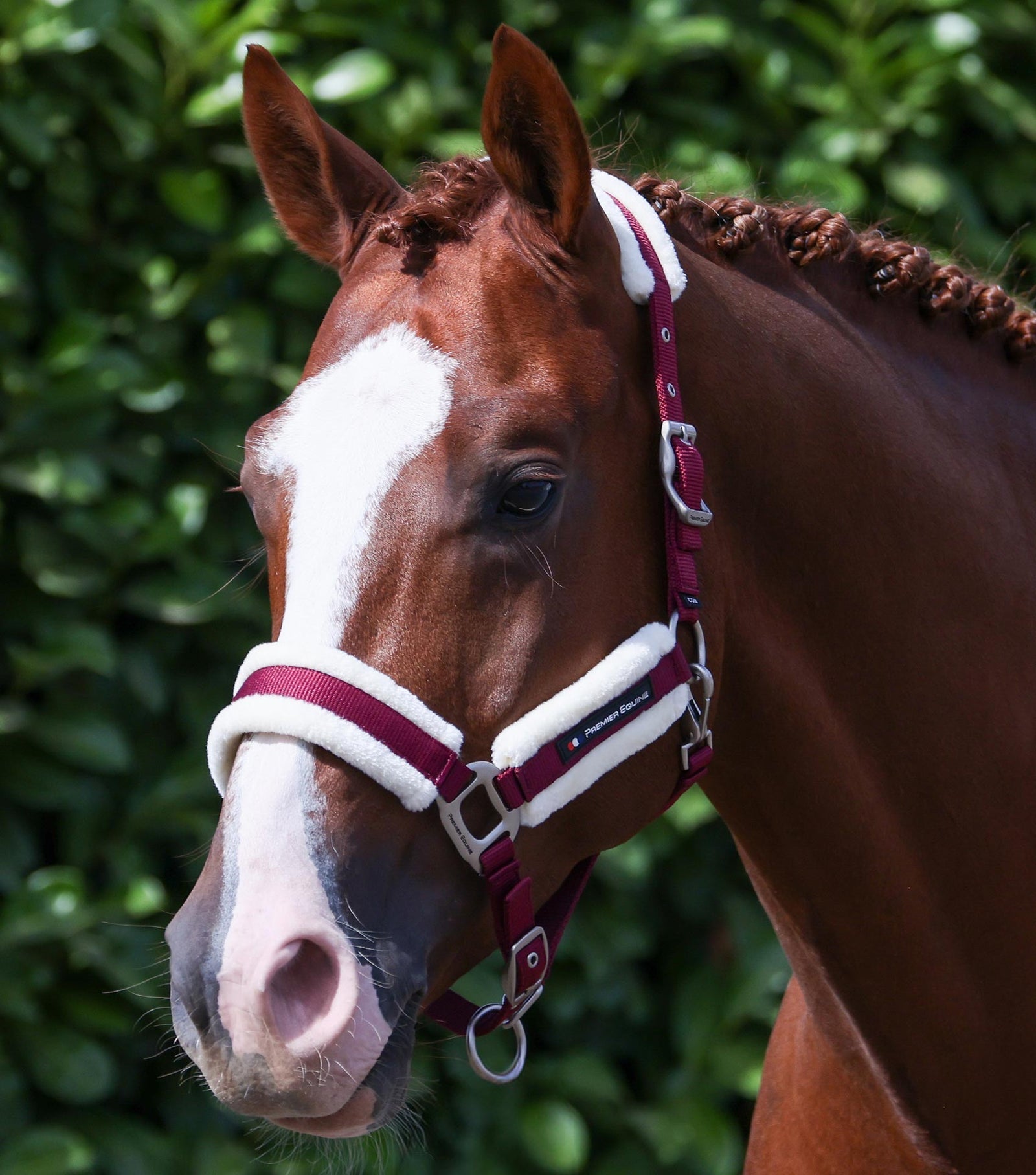 Premier Equine Techno Wool Head Collar with Lead Rope - Nags Essentials