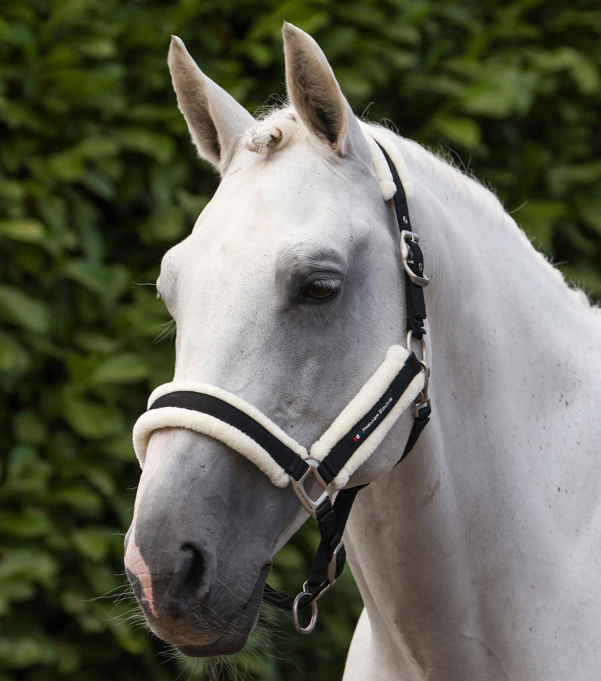Premier Equine Techno Wool Head Collar with Lead Rope - Nags Essentials