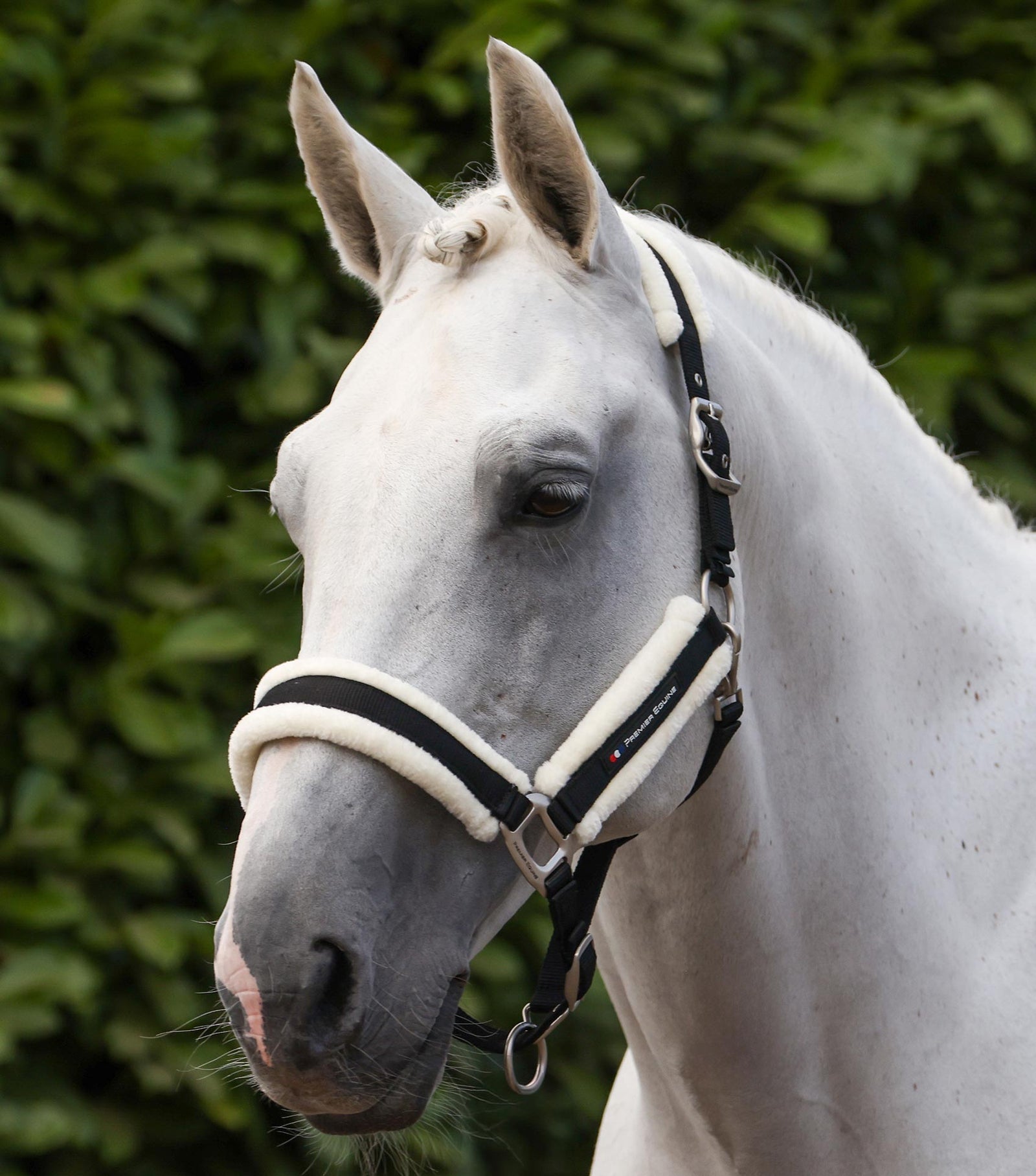 Premier Equine Techno Wool Head Collar with Lead Rope - Nags Essentials