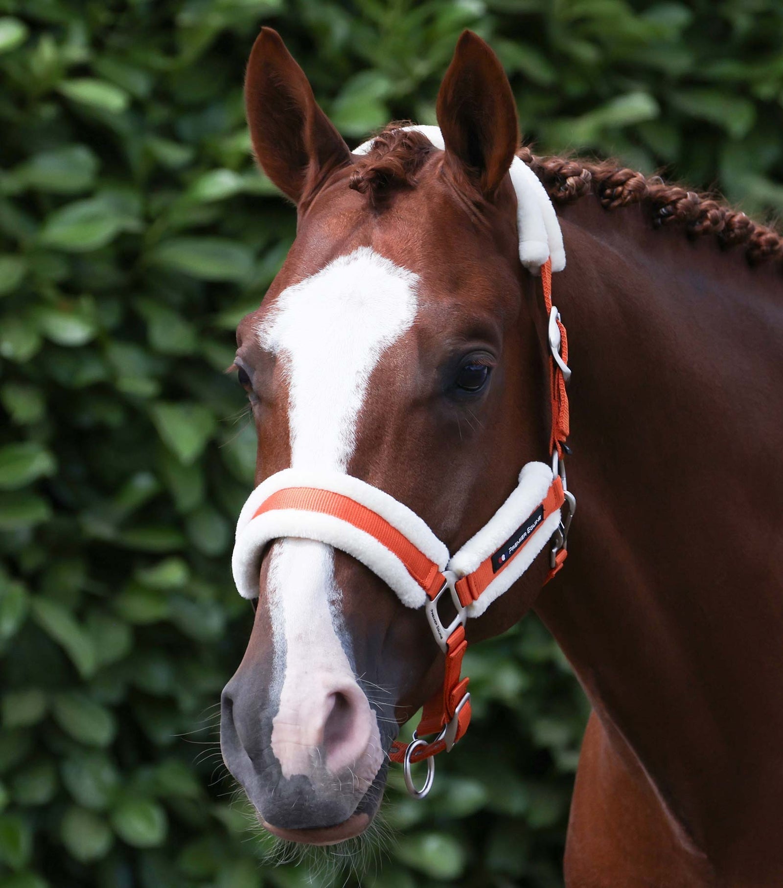 Premier Equine Techno Wool Head Collar with Lead Rope - Nags Essentials