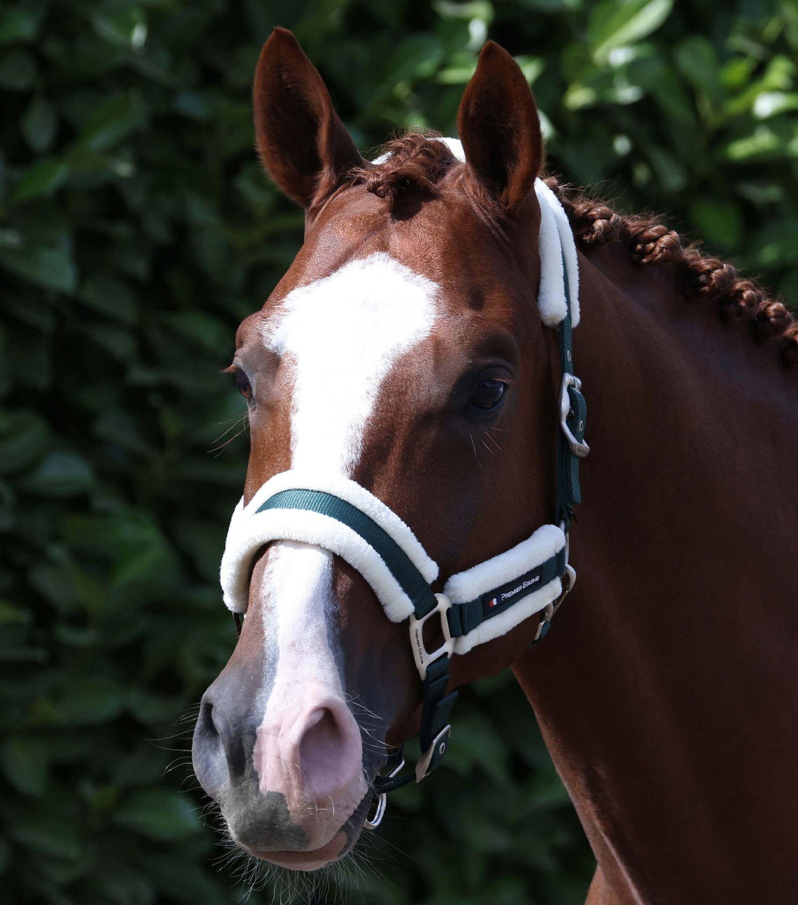 Premier Equine Techno Wool Head Collar with Lead Rope - Nags Essentials