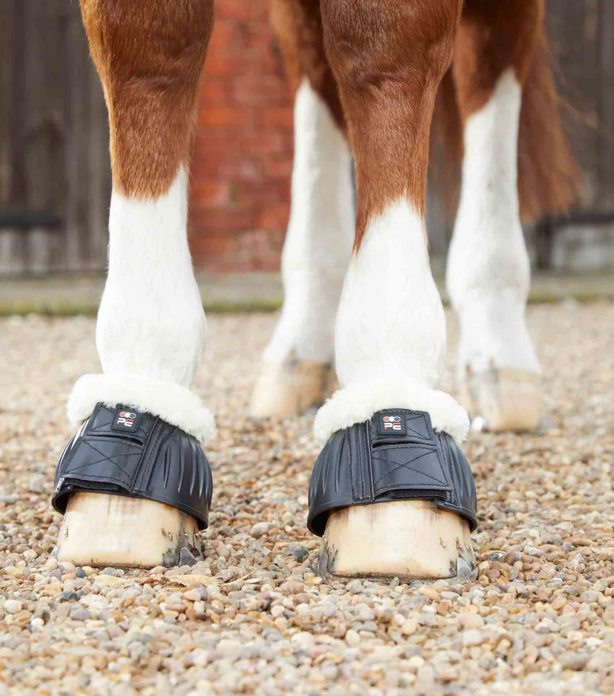 Premier Equine Techno Wool Rubber Bell Over Reach Boots- Black - Nags Essentials