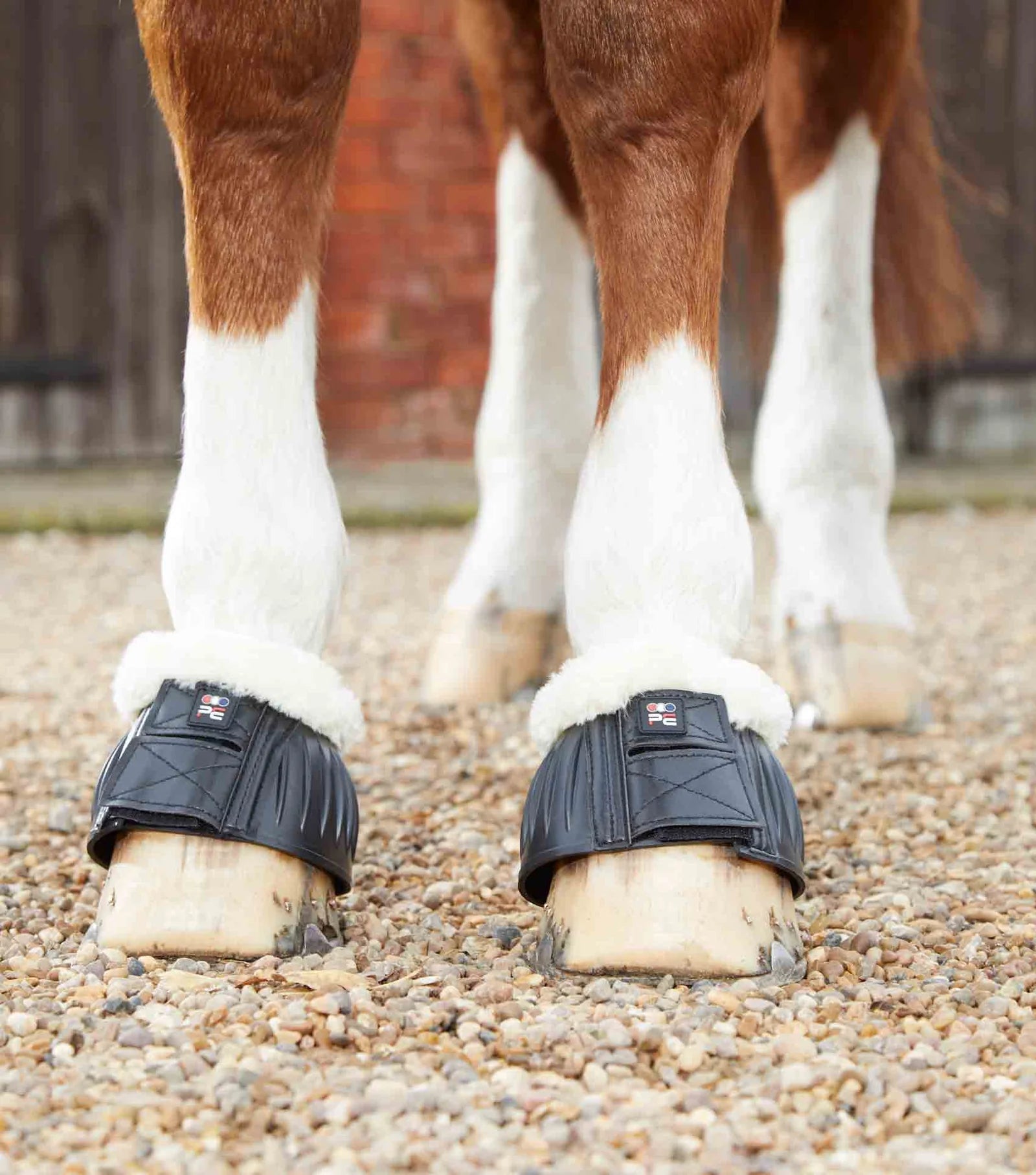 Premier Equine Techno Wool Rubber Bell Over Reach Boots- Black - Nags Essentials