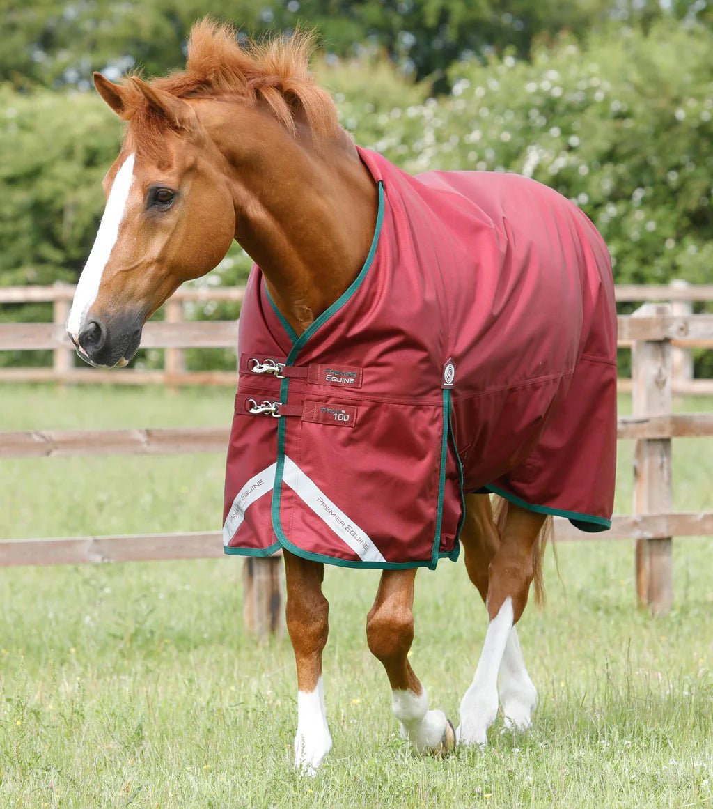 Premier Equine Titan 100g Original Turnout Rug - Nags Essentials