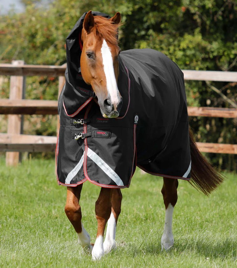 Premier Equine Titan 100g Turnout Rug with Snug-Fit Neck Cover - Nags Essentials