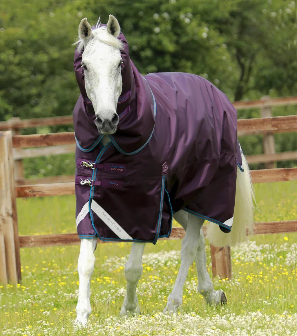 Premier Equine Titan 200g Turnout Rug with Snug Neck Cover - Nags Essentials