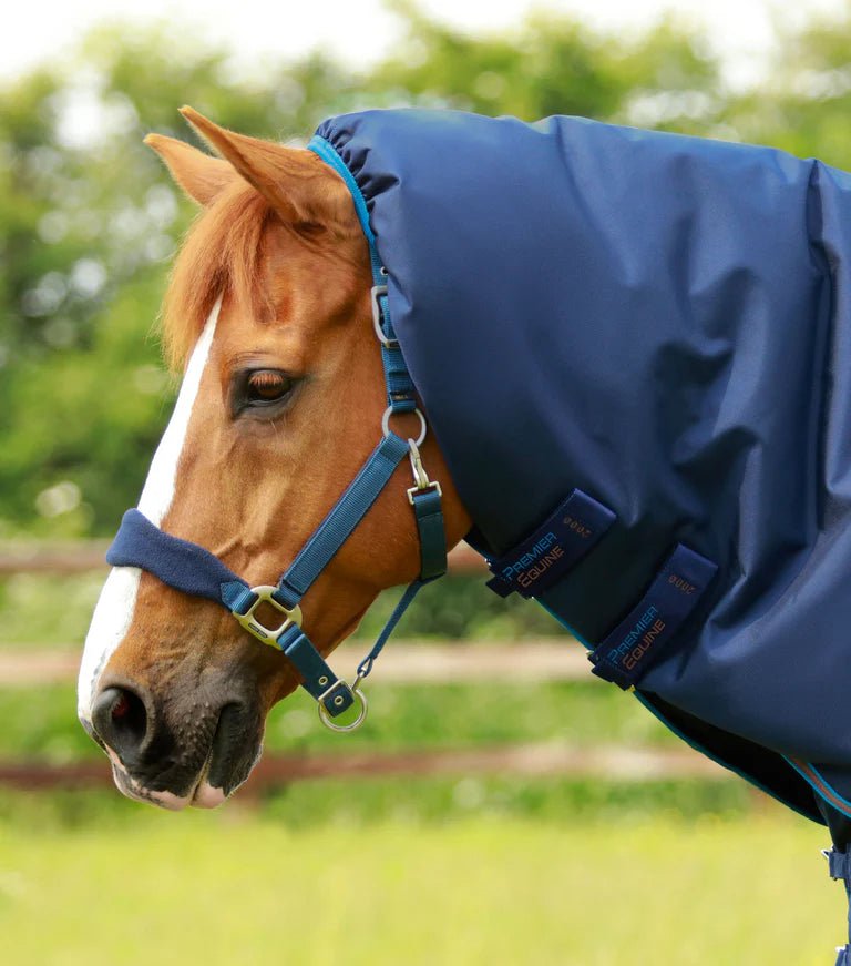 Premier Equine Titan 200g Turnout Rug with Snug Neck Cover - Nags Essentials