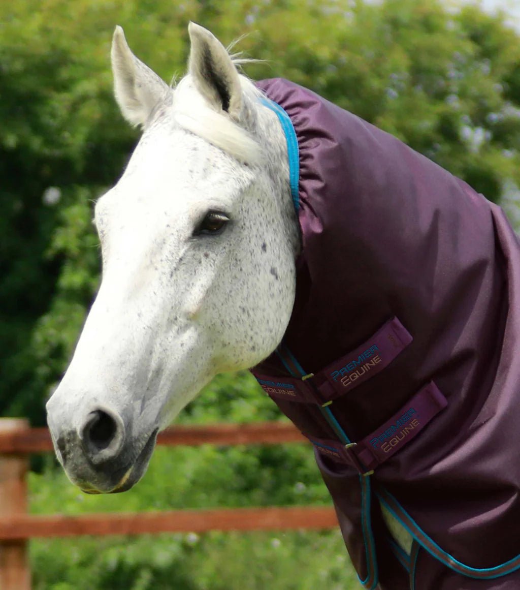 Premier Equine Titan 200g Turnout Rug with Snug Neck Cover - Nags Essentials